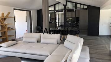 Televisie, een open haard, videospelletjes en een dvd-speler