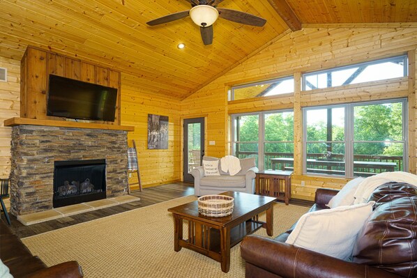 Smart TV, fireplace, DVD player, video library