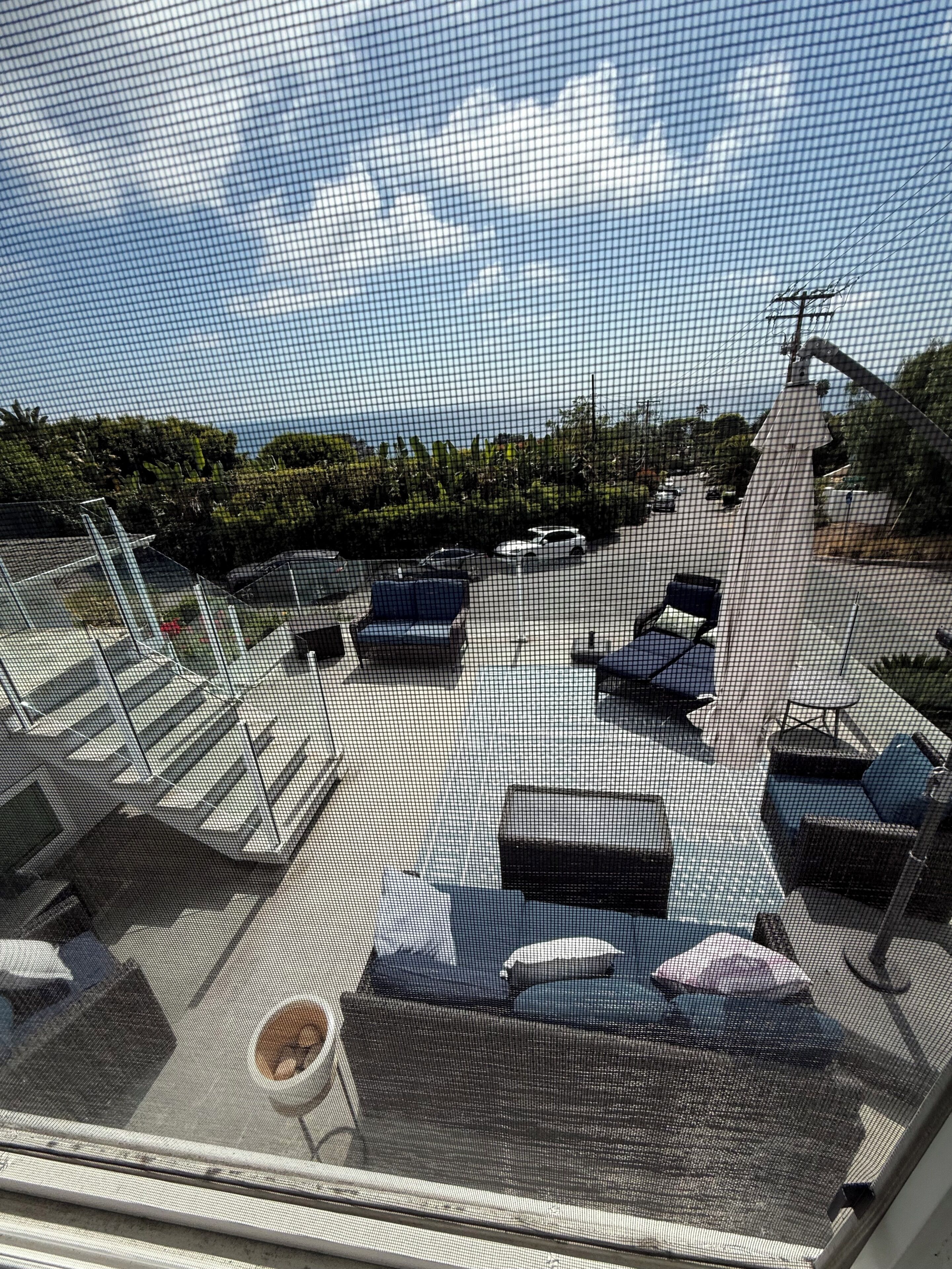 Terraza o patio