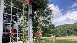 A building with large windows and a garden with flowering plants.