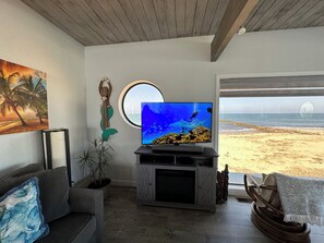 Smart TV, fireplace, video games, books