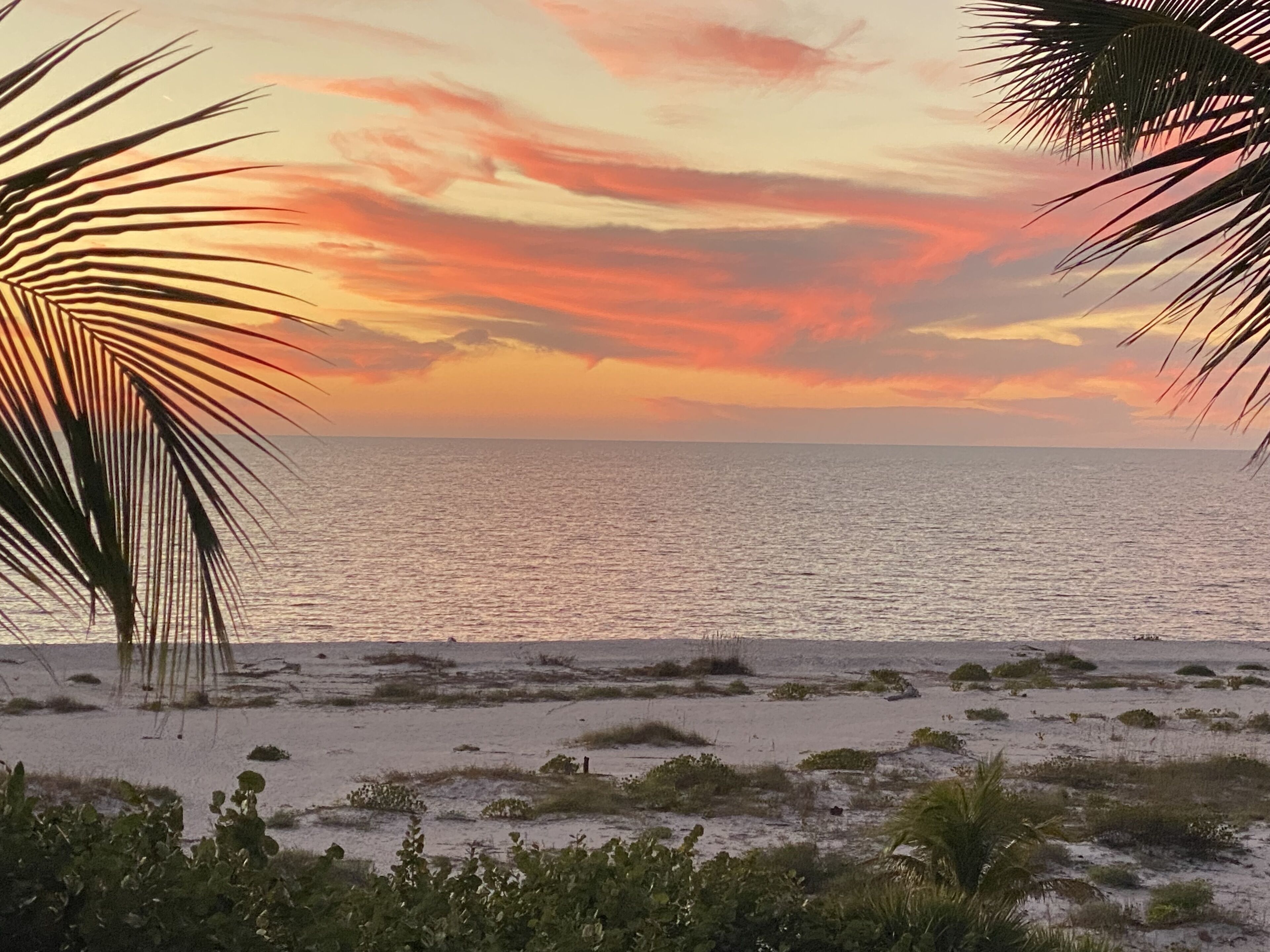 A beach with a sunset, palm trees, and a calm sea.