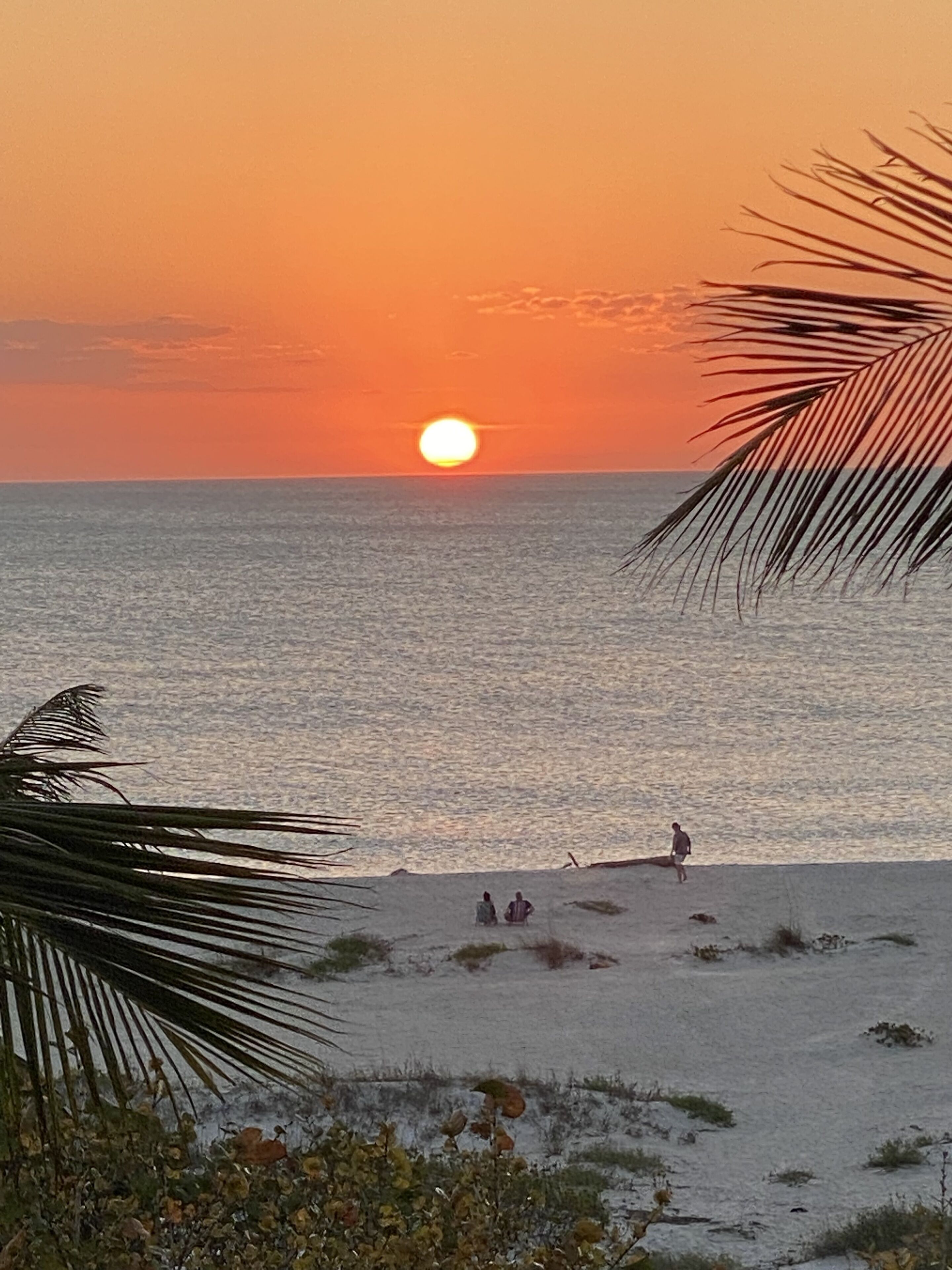A beach scene with the sun setting over the ocean, palm trees, and people on the sand.
