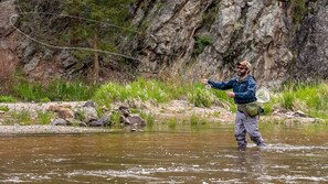 Fitness facility - Beautifully Furnished, Clean, Cozy Cabin Next to Rocky! Walk to RMNP & YMCA (Estes Park)