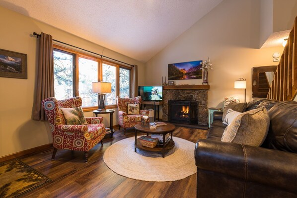 Smart TV, fireplace, books