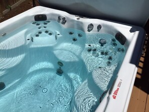 Outdoor spa tub - OCEAN VIEW - HILLSIDE SANCTUARY WITH THERAPEUTIC SWIM SPA (Aptos)