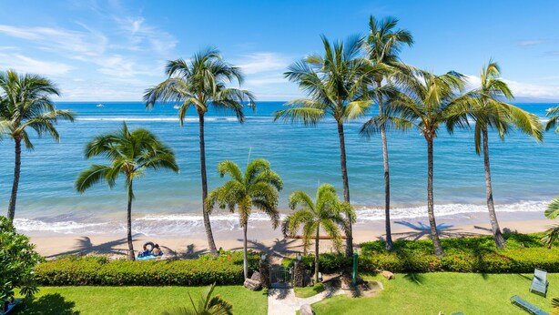 A beach with palm trees and a clear blue sky. - Romantic Oceanfront Condo at Lahaina Shores with Sweeping Ocean Views (Lahaina)