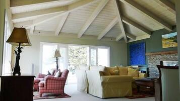 Smart TV, fireplace, DVD player, books