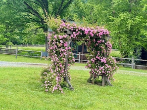 Jardines del alojamiento