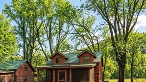 A rustic cabin with a green roof, surrounded by lush greenery and trees. - Pet Friendly ☀River Access☀2 bdrm/1 bath☀At Park Entrance☀Screened Porch (Townsend)