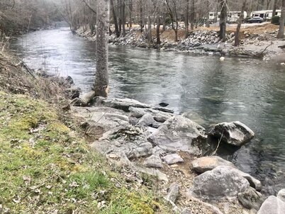 Pet Friendly ☀River Access☀2 bdrm/1 bath☀At Park Entrance☀Screened Porch