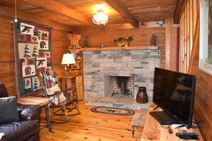 TV, fireplace, DVD player
