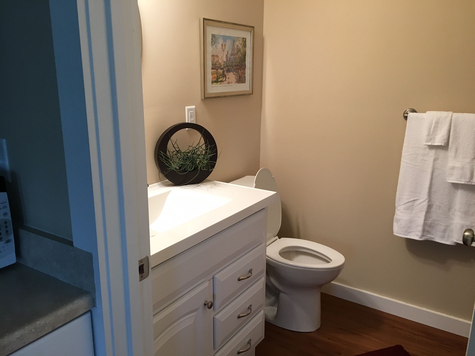 A bathroom with a toilet, a sink, a mirror, and a framed picture on the wall.