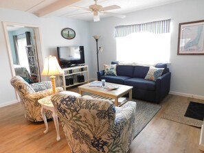 TV, DVD player, books, video library