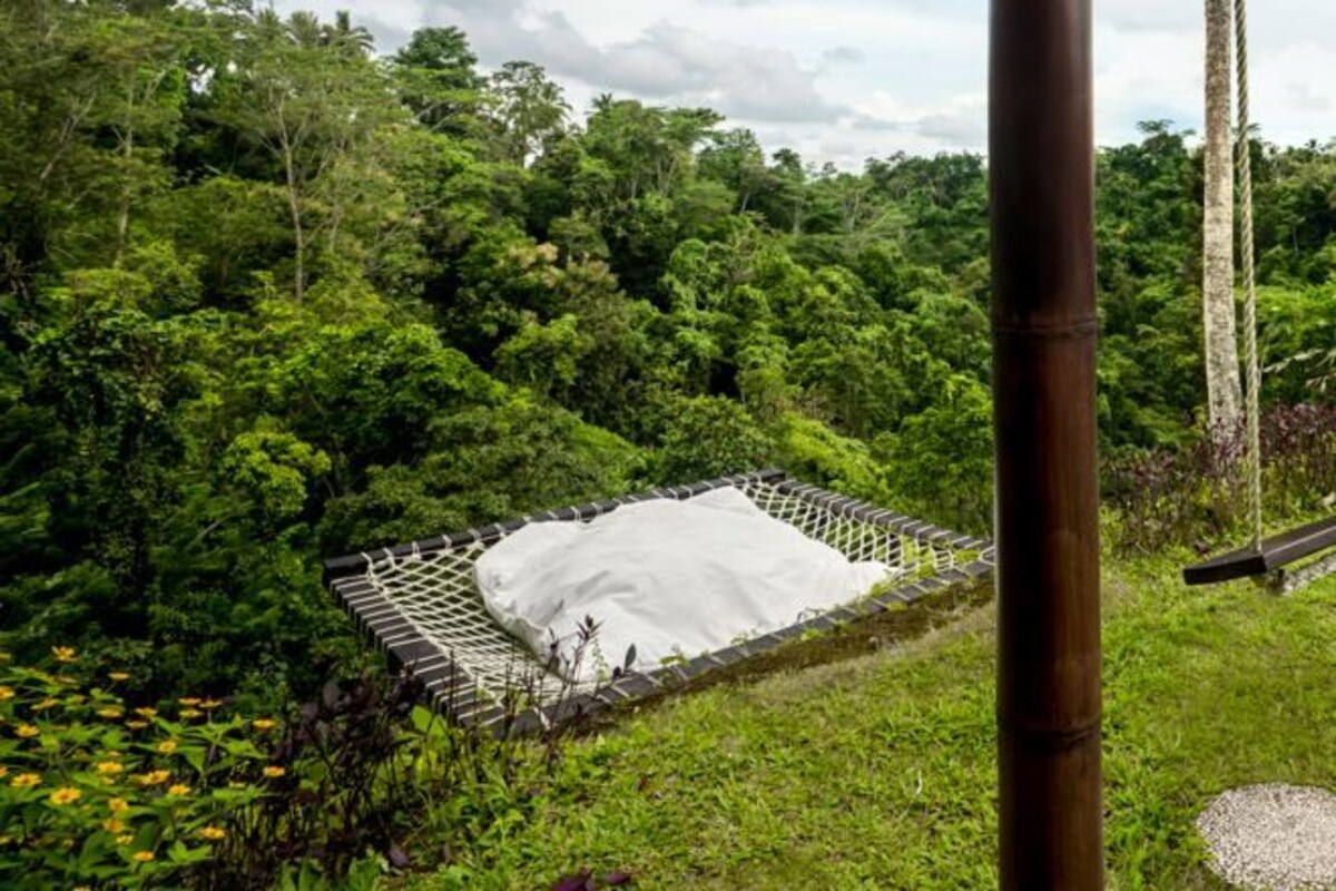 A hammock in a lush green forest setting.