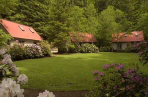 特色平房, 多張床, 小廚, 花園景 | 園景