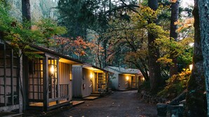 A row of wooden cabins with large windows and doors, surrounded by trees and a gravel path.