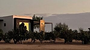 Un bâtiment moderne doté d’un toit plat, entouré d’un vignoble.