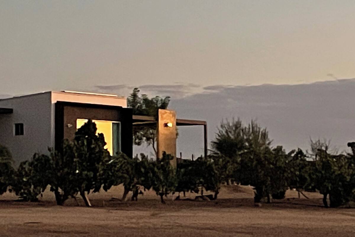 Ein modernes Gebäude mit flachem Dach, umgeben von einem Weinberg.
