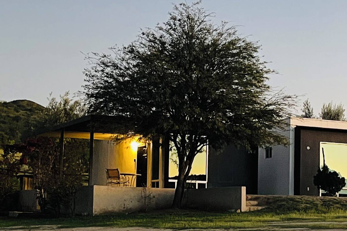 Ein modernes Haus mit überdachter Terrasse, einem Baum und einem Rasenfeld.