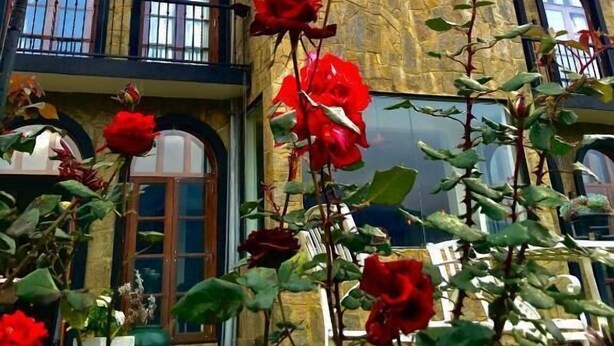 A castle-like building with multiple arched windows and balconies. - The Wind Castle (Nuwara Eliya)