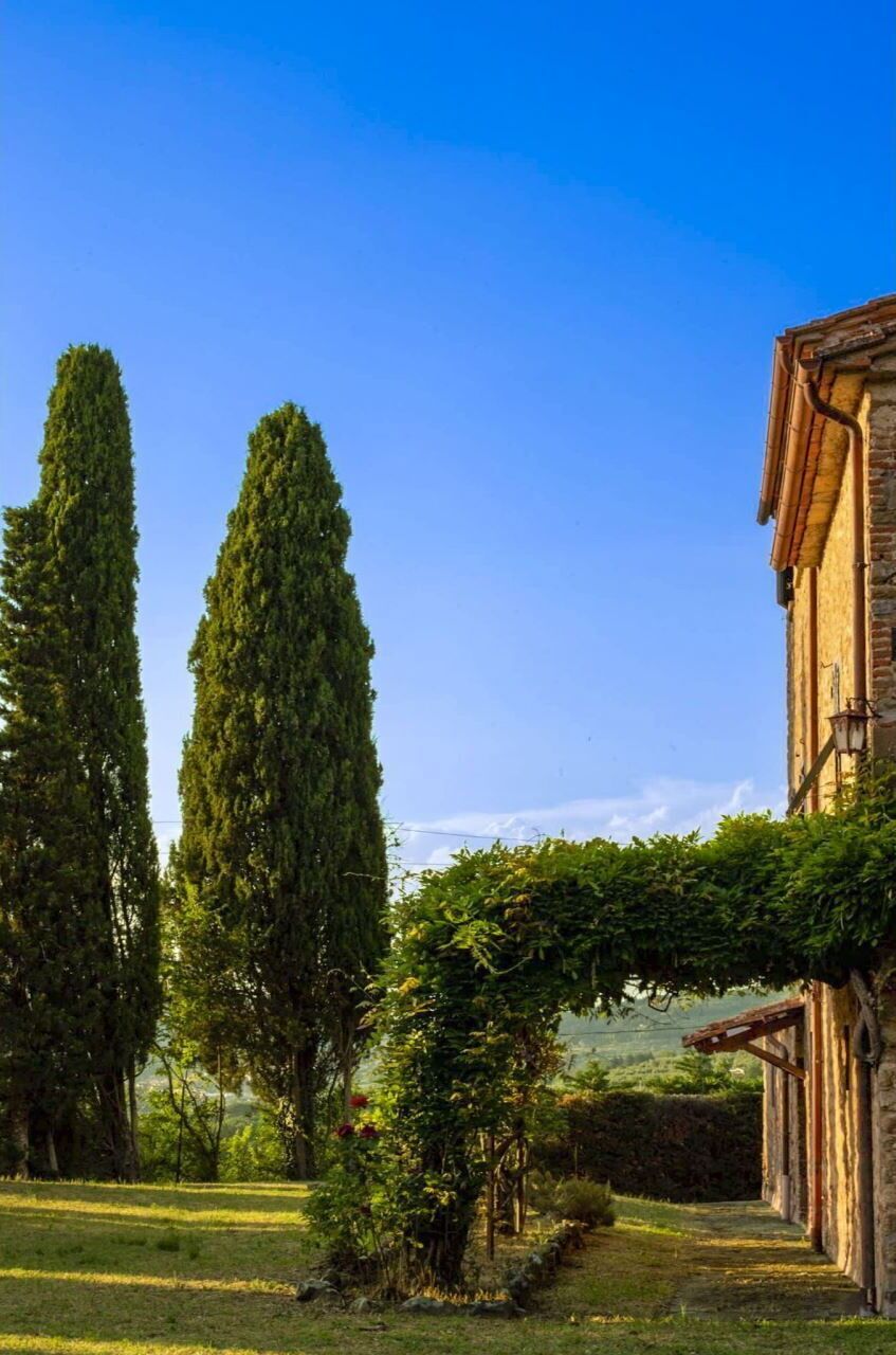 Grass, House, Home, Rural Area, Cottage, Farmhouse, Estate, Meadow, Lawn, Landscaping