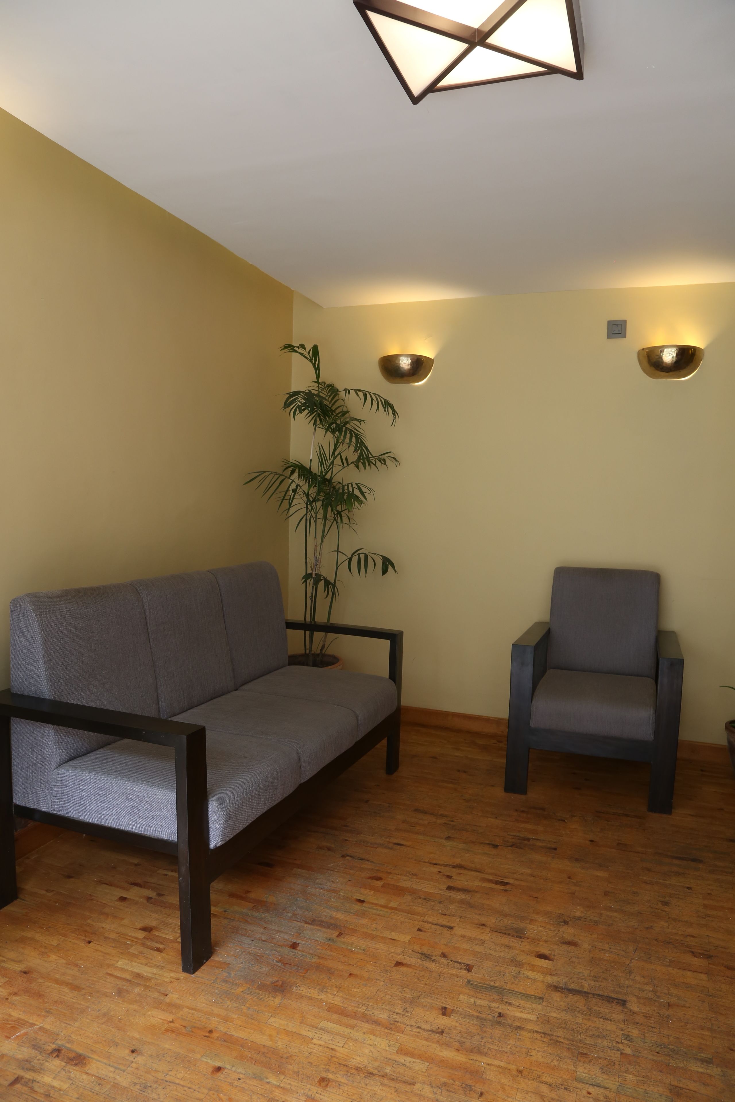 Una habitación con suelo de madera, un sofá gris, un sillón gris, una planta en maceta y dos luces fijadas a la pared.