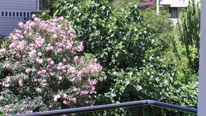 Un balcón con vistas a un jardín, que incluye arbustos de flores rosadas y follaje verde.