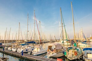 بالقرب من الشاطئ