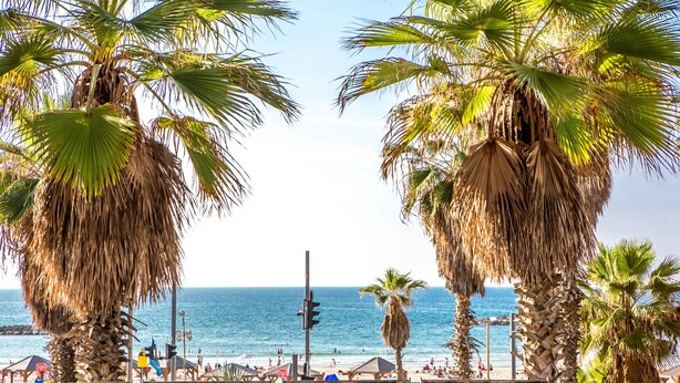 A beach scene with palm trees, a beach umbrella, and a view of the ocean. - Premium suites on Beach Ben Yehuda 43 (Tel Aviv)