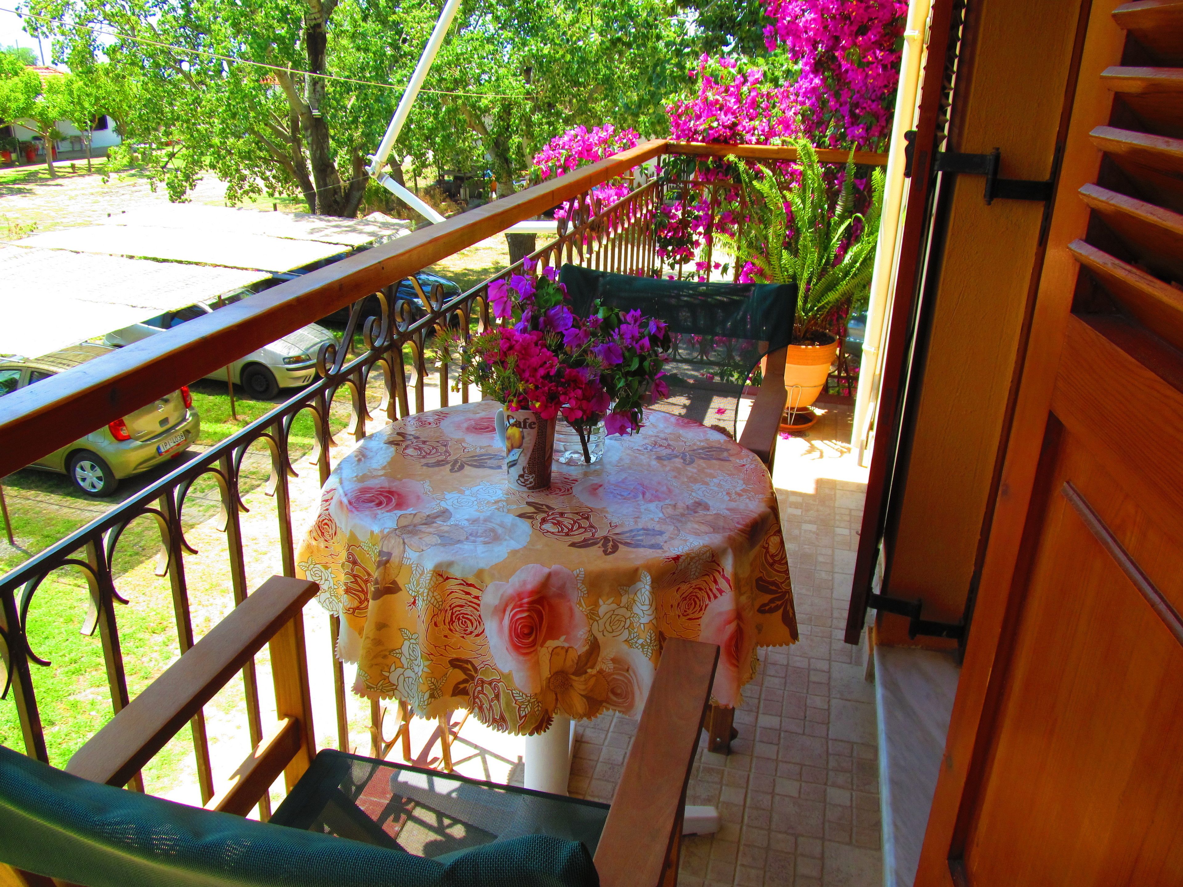 Garden view