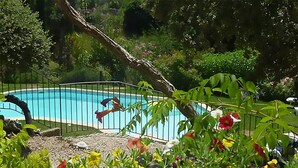 A swimming pool surrounded by a metal fence, with various colorful flowers in the foreground. - Villa in Crillon-le-Brave near Mont Ventoux (Crillon-le-Brave)