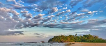 Villa in the middle of tropical palm trees, not far from the Bentota beach 