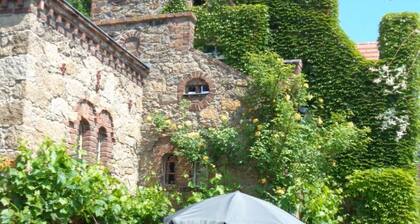 Manor at the moated castle