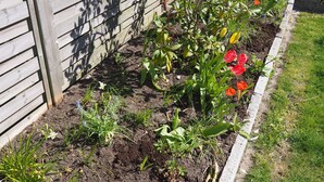 Comfort Studio, 1 Queen Bed, Non Smoking, Courtyard View | Garden view - Fischerbude (Büsum)
