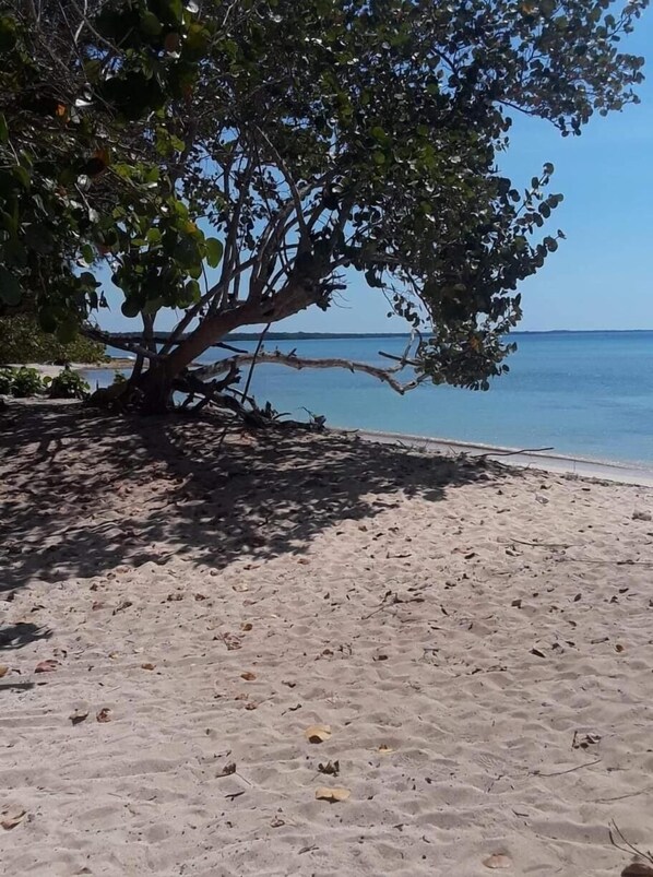 Beach nearby, white sand, beach bar