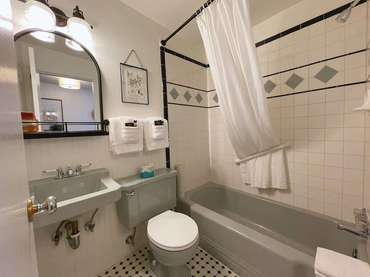 Tina con regadera y secadora de cabello 