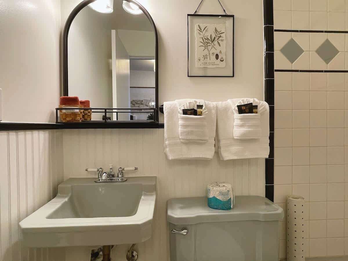 Combined shower/tub, hair dryer
