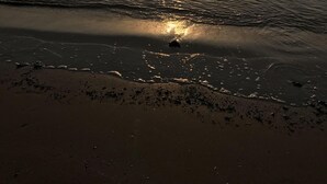 Ein Strand bei Sonnenuntergang, sanfte Wellen umspülen das Ufer.