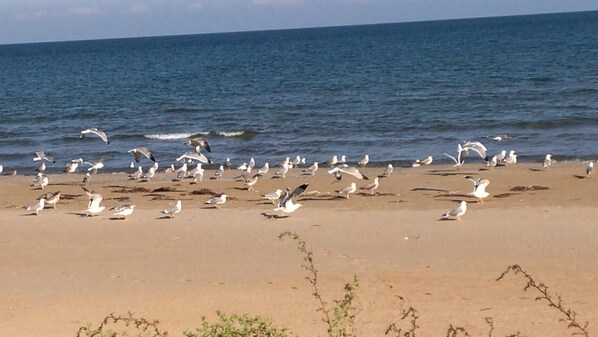 En la playa