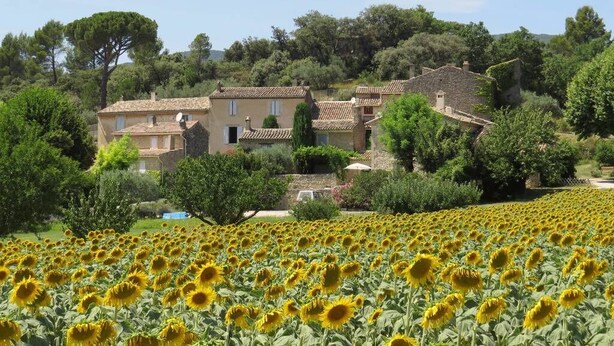 Entorno rural con una hilera de casas de piedra tradicionales, un campo de girasoles en primer plano y un paisaje montañoso con árboles al fondo.