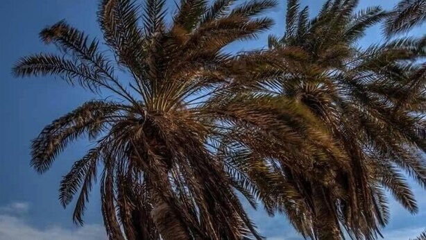 بالقرب من الشاطئ