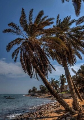 Beach nearby - Villa Sarda (Dahab)