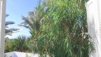 Phong cảnh nhìn từ nơi lưu trú