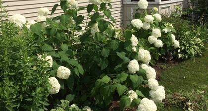 Escapada verde del pueblo de montaña en Bristol pintoresco, Vermont.