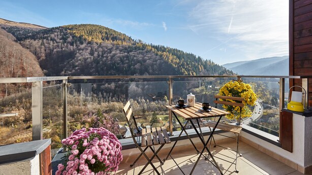Outdoor dining - Maria Sinaia Apartment Murray Hill (Sinaia)