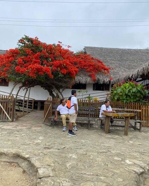 Ecotours - Hostal Quentin (Puerto Lopez)