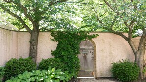 A garden with a wooden door, surrounded by greenery and a stone wall.