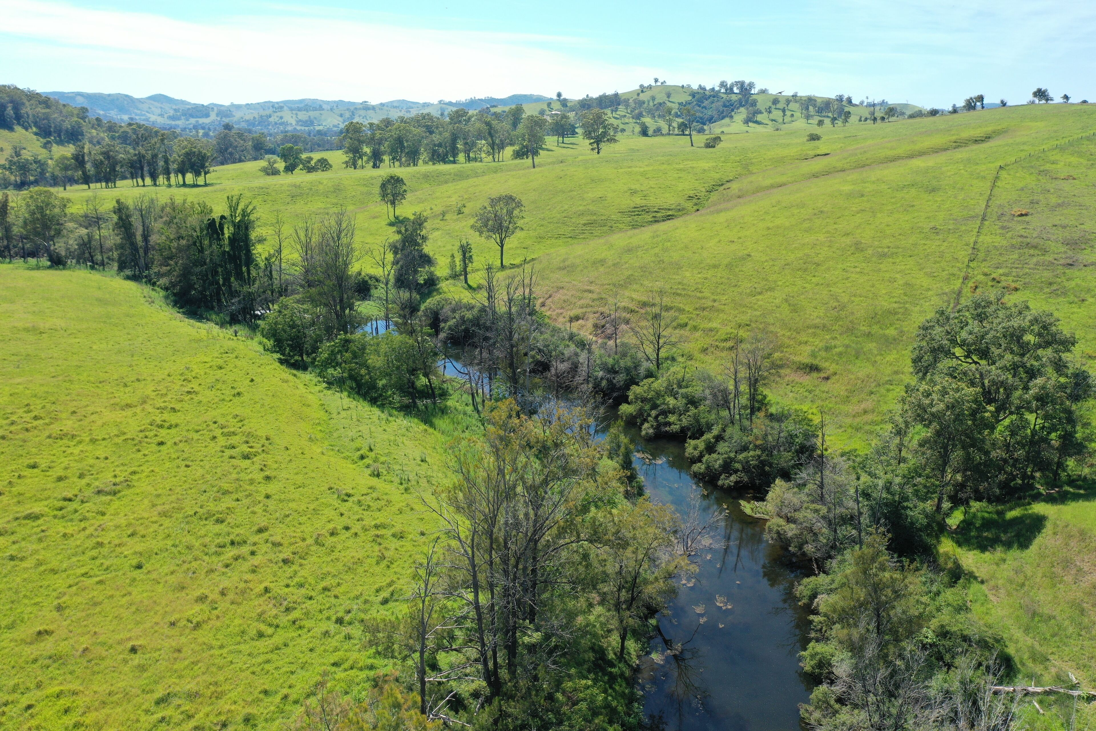 Un paesaggio verde e rigoglioso con un fiume, colline e alberi sparsi.