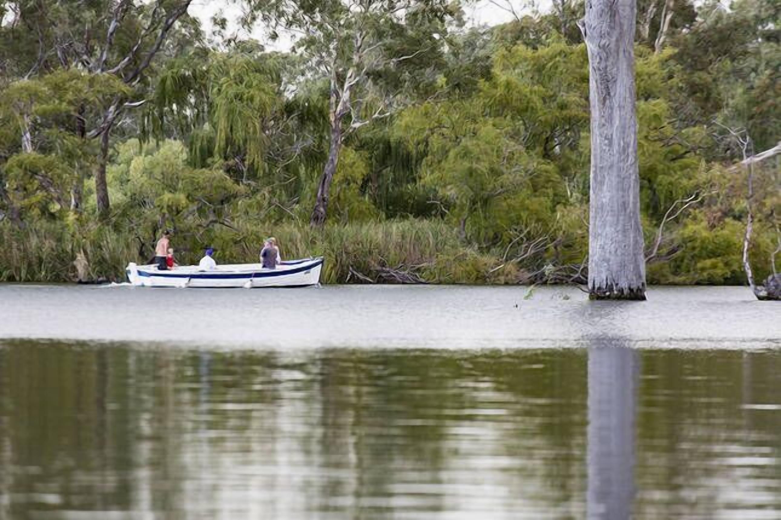 A boat on calm water with dense trees in the background.